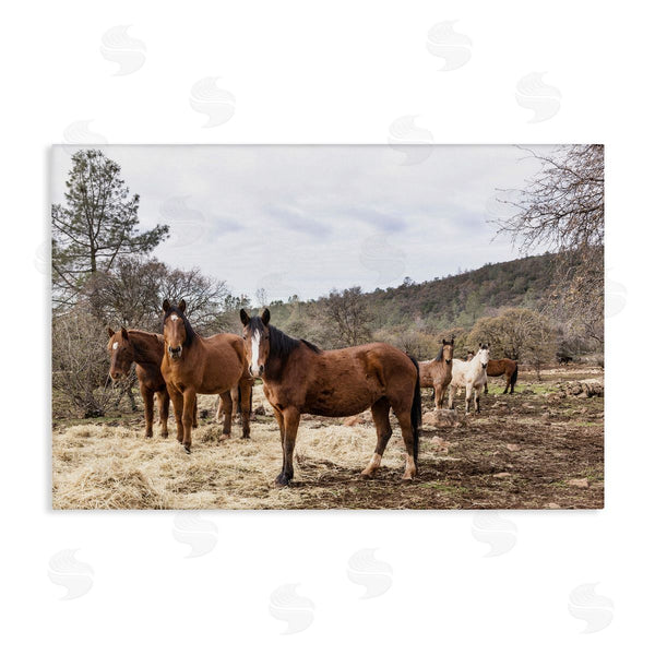 stupell industries PIDDIX | Horse Family Grazing Land
