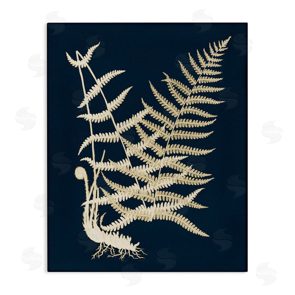 stupell industries Piddix | Layered Fern Leaves Abstract Botanical Roots Shapes Wall Art