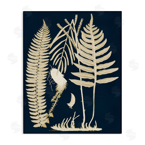 stupell industries Piddix | Layered Ferns Botanical Roots Contemporary Abstract Design Wall Art