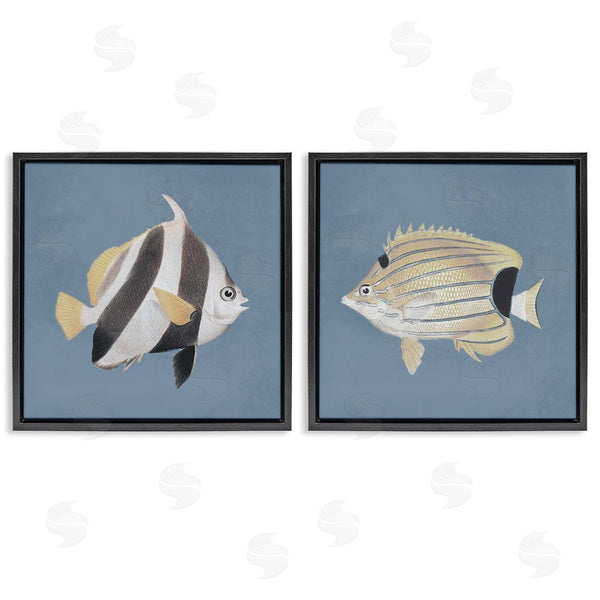 Stupell Industries Piddix | Marine Fish Underwater Sea Life Wall Art