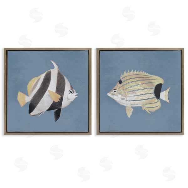 Stupell Industries Piddix | Marine Fish Underwater Sea Life Wall Art