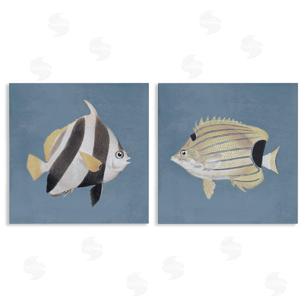 stupell industries Piddix | Marine Fish Underwater Sea Life Wall Art