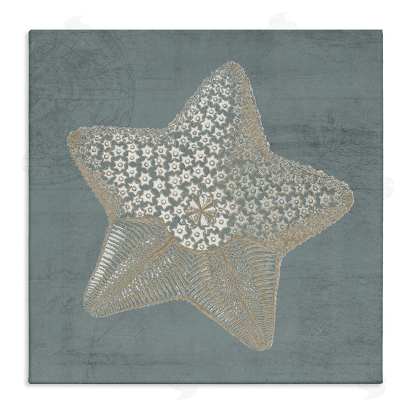 stupell industries Piddix | Patterned Starfish Aquatic Sea Life Wall Art