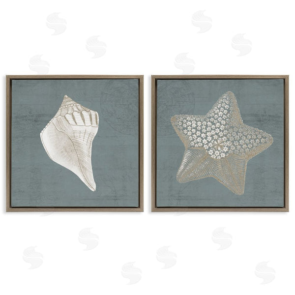 Stupell Industries Piddix | Sea Life Conch Starfish Nautical Wall Art