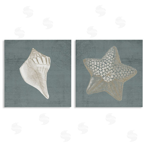 stupell industries Piddix | Sea Life Conch Starfish Nautical Wall Art