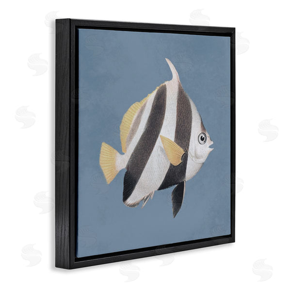 Stupell Industries Piddix | Striped Fish Marine Life Portrait Wall Art