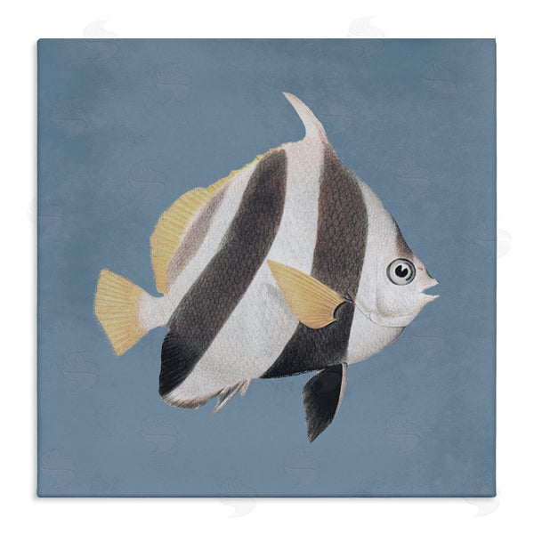stupell industries Piddix | Striped Fish Marine Life Portrait Wall Art