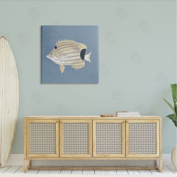 Stupell Industries Piddix | Striped Fish Portrait Blue Background Wall Art