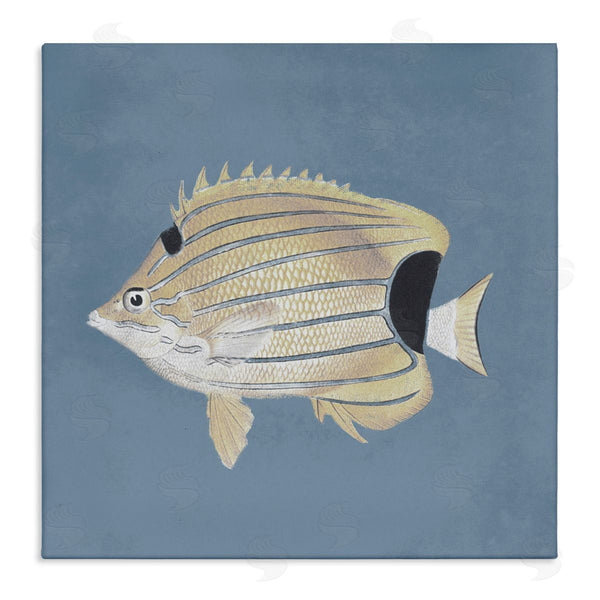 stupell industries Piddix | Striped Fish Portrait Blue Background Wall Art