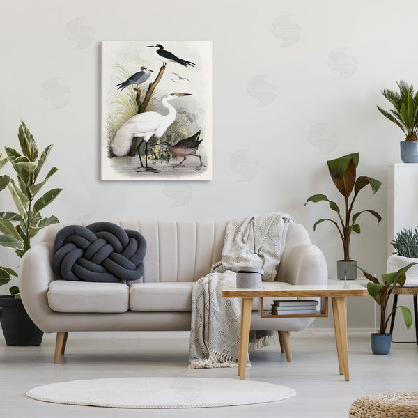 Stupell Industries Piddix | Varied Crane Birds Gathered Riverbank Stream Botanicals Wall Art