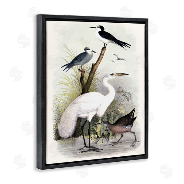 Stupell Industries Piddix | Varied Crane Birds Gathered Riverbank Stream Botanicals Wall Art