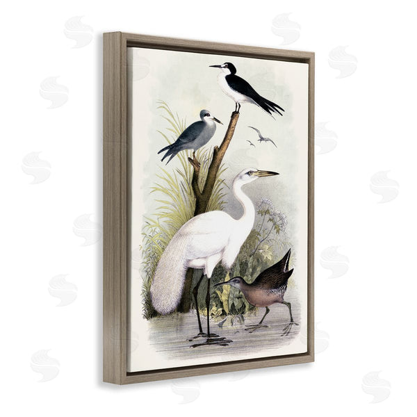 Stupell Industries Piddix | Varied Crane Birds Gathered Riverbank Stream Botanicals Wall Art
