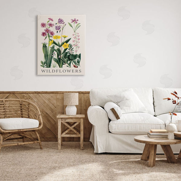 Stupell Industries Piddix | Various Wildflowers Study Wall Art