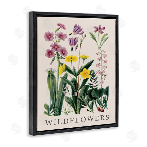 Stupell Industries Piddix | Various Wildflowers Study Wall Art