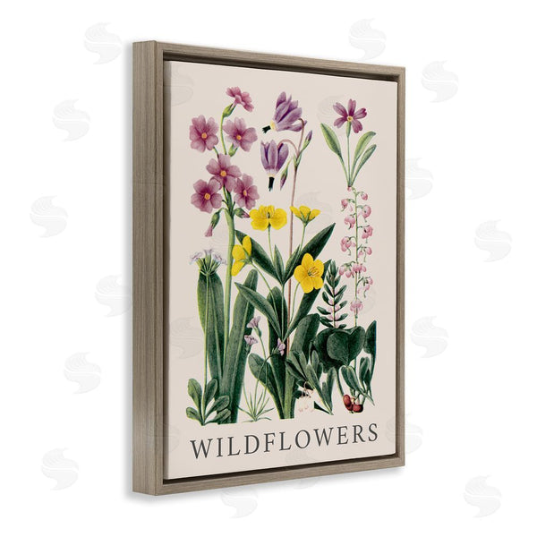 Stupell Industries Piddix | Various Wildflowers Study Wall Art