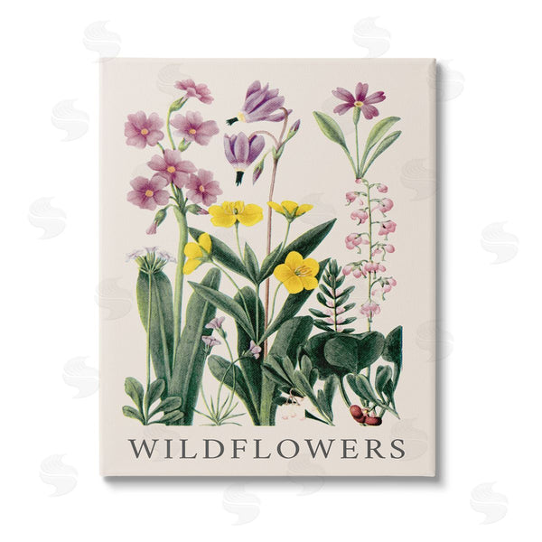 stupell industries Piddix | Various Wildflowers Study Wall Art