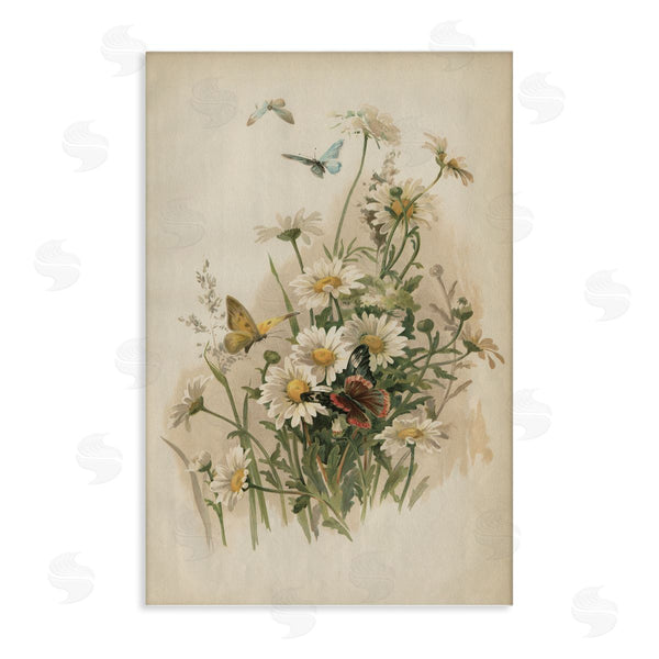 stupell industries PIDDIX | Vintage Daisies & Butterflies