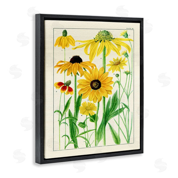 Stupell Industries Piddix | Vintage Yellow Daisies Wall Art