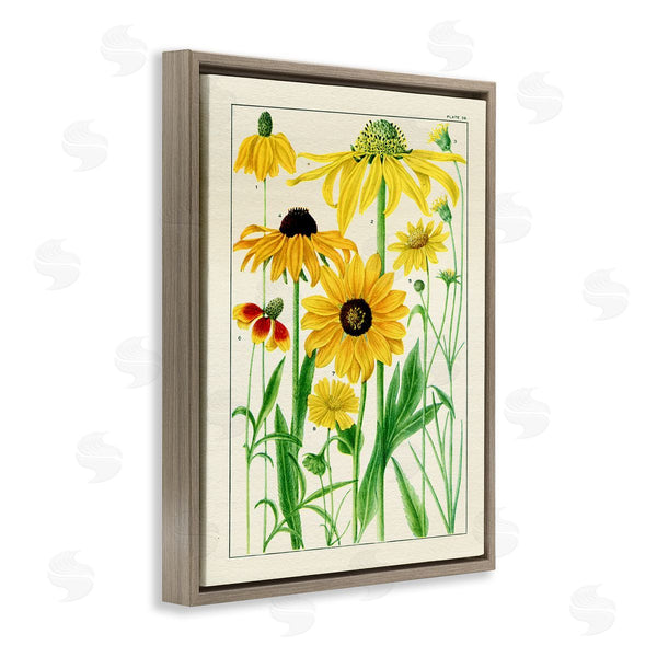 Stupell Industries Piddix | Vintage Yellow Daisies Wall Art