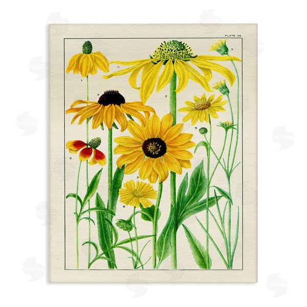 stupell industries Piddix | Vintage Yellow Daisies Wall Art