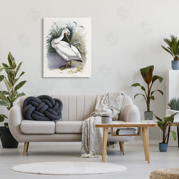 Stupell Industries Piddix | White Pelican Bird Preening Grassy Riverbank Shore Wall Art