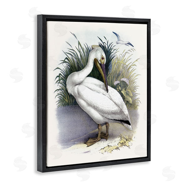 Stupell Industries Piddix | White Pelican Bird Preening Grassy Riverbank Shore Wall Art