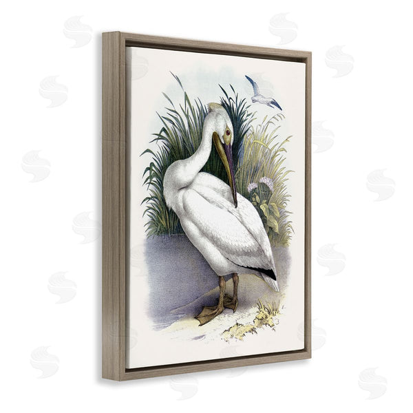 Stupell Industries Piddix | White Pelican Bird Preening Grassy Riverbank Shore Wall Art