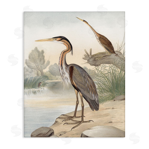 stupell industries Piddix | Wild Heron Birds Perched Scenic Grassy Creek Wall Art