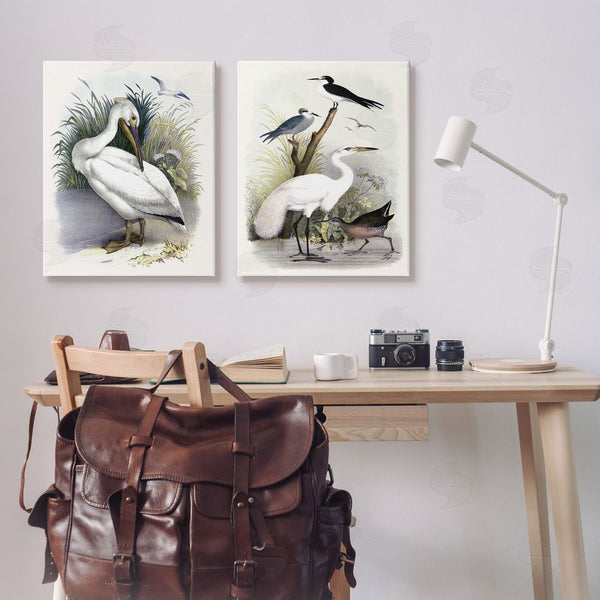 Stupell Industries Piddix | Wild Pelican Birds Avian Waterside Wall Art