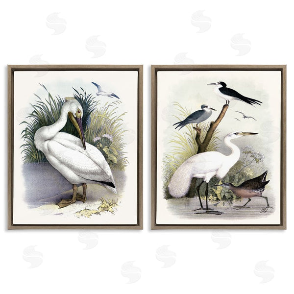 Stupell Industries Piddix | Wild Pelican Birds Avian Waterside Wall Art