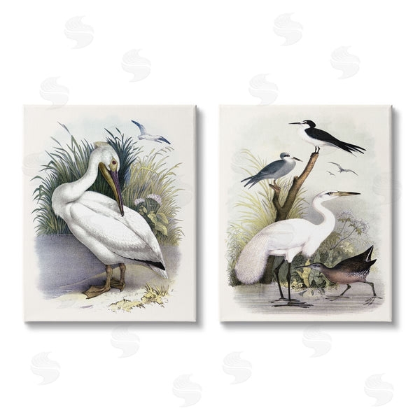 stupell industries Piddix | Wild Pelican Birds Avian Waterside Wall Art