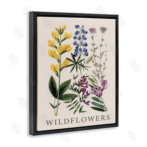 Stupell Industries Piddix | Wildflower Species Study Wall Art
