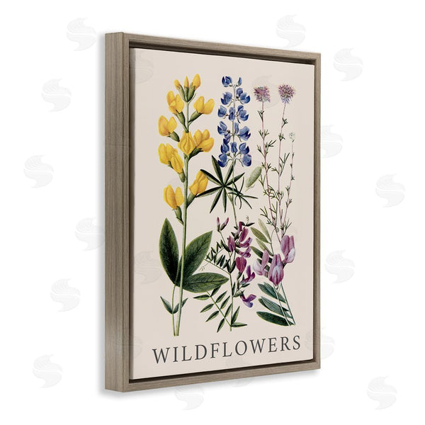 Stupell Industries Piddix | Wildflower Species Study Wall Art