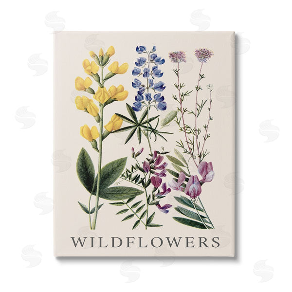stupell industries Piddix | Wildflower Species Study Wall Art