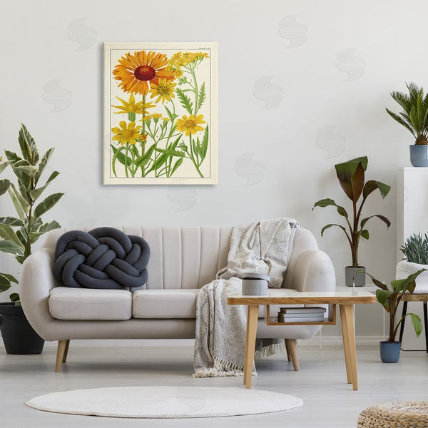 Stupell Industries Piddix | Yellow Flower Studies Wall Art