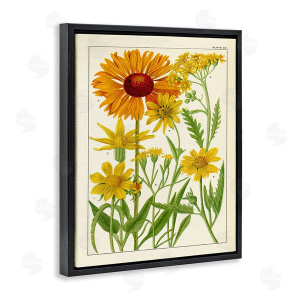 Stupell Industries Piddix | Yellow Flower Studies Wall Art