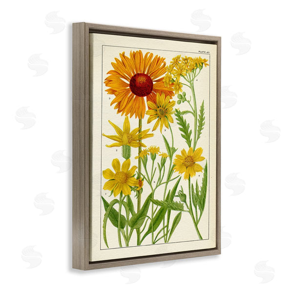Stupell Industries Piddix | Yellow Flower Studies Wall Art