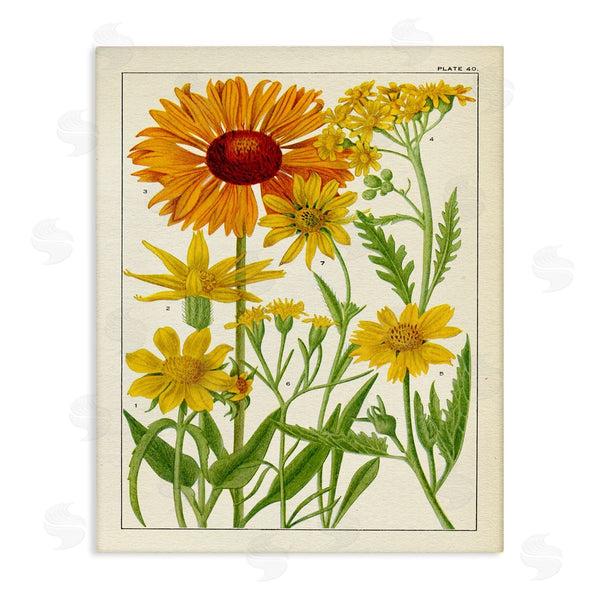 stupell industries Piddix | Yellow Flower Studies Wall Art