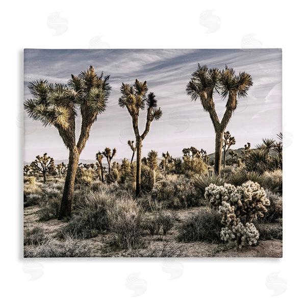 stupell industries Rachel Perry | Desert Cacti Vegetation