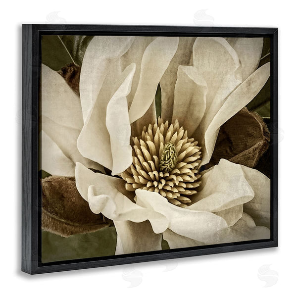 Stupell Industries Rachel Perry | Rustic Flower Close Up