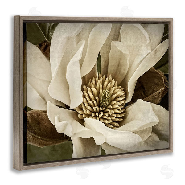 Stupell Industries Rachel Perry | Rustic Flower Close Up