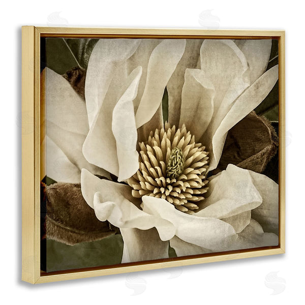 Stupell Industries Rachel Perry | Rustic Flower Close Up