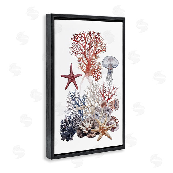 Stupell Industries Ramona Murdock | Aquatic Animals & Coral