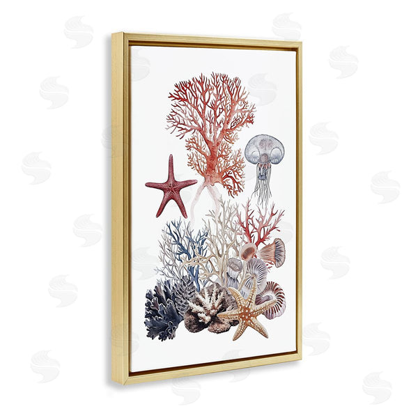Stupell Industries Ramona Murdock | Aquatic Animals & Coral