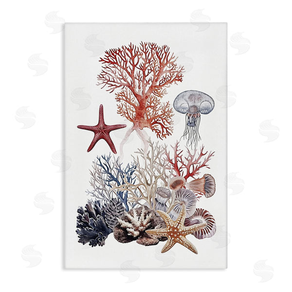 stupell industries Ramona Murdock | Aquatic Animals & Coral