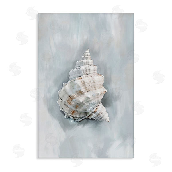 stupell industries Ramona Murdock | Conch Seashell Mirage