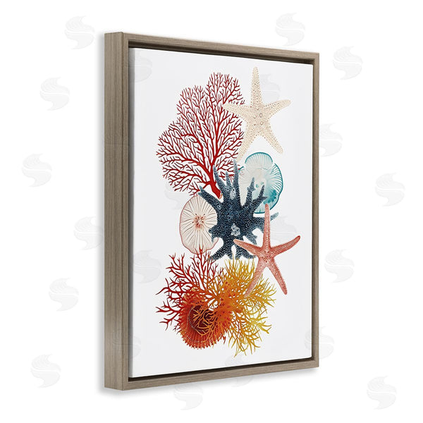 Stupell Industries Ramona Murdock | Coral & Undersea Creatures