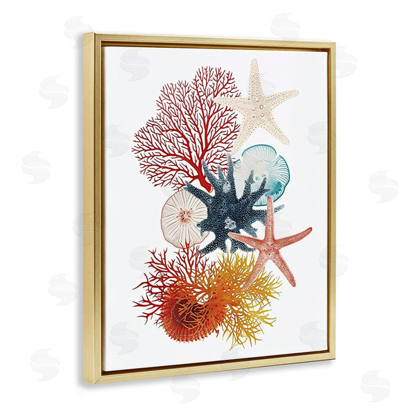 Stupell Industries Ramona Murdock | Coral & Undersea Creatures