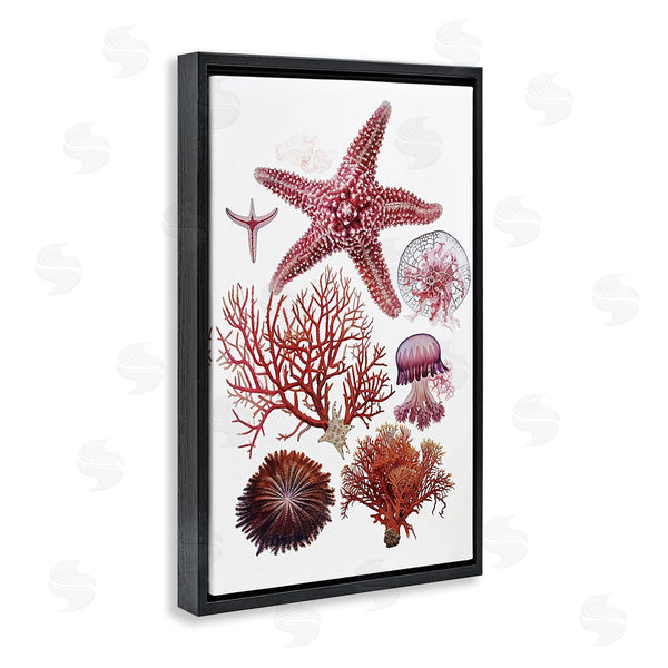 Stupell Industries Ramona Murdock | Rosy Undersea Creatures
