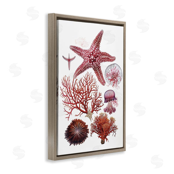 Stupell Industries Ramona Murdock | Rosy Undersea Creatures